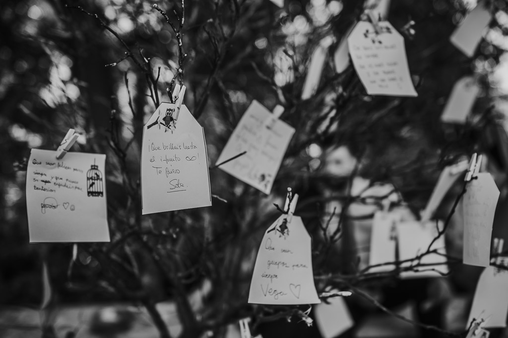 Carpe fotografía, ceremonia civil, Parador de la Arruzafa, Parador de Córdoba, Bodas en Córdoba, Fotógrafos de Córdoba, fotografía de boda, Bodas en el parador de la arruzafa, Boda civil córdoba, copa de bienvenida, blanco y negro